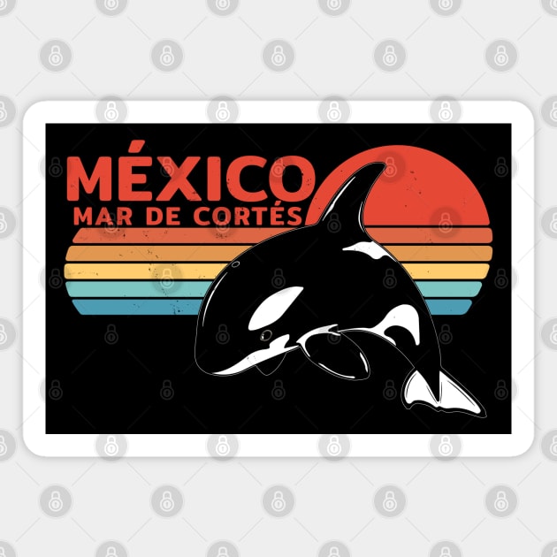 México Sea of Cortez Killer Whale Magnet by NicGrayTees